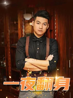 一夜翻身海报