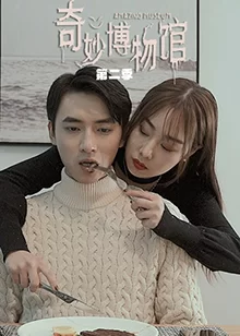 奇妙博物馆第二季海报