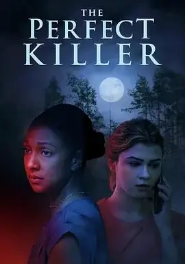 完美杀手海报