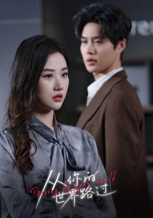 从你的世界路过海报