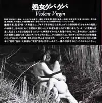 花俏处女海报