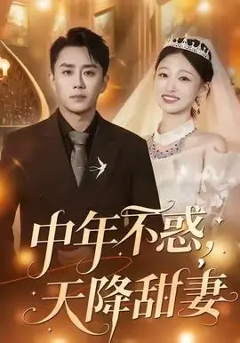 中年不惑,天降甜妻海报