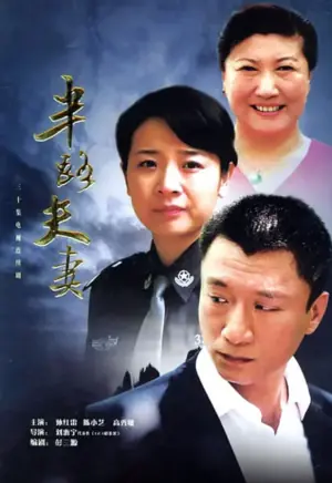 半路夫妻海报