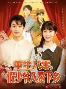 重生八零,假少爷入赘下乡海报