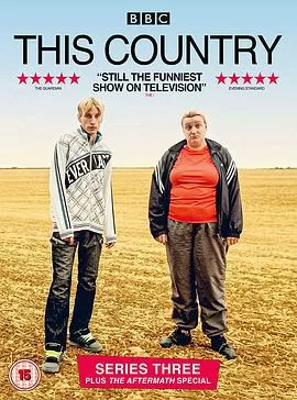 英村脑残故事第三季海报