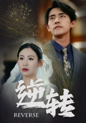 逆转海报