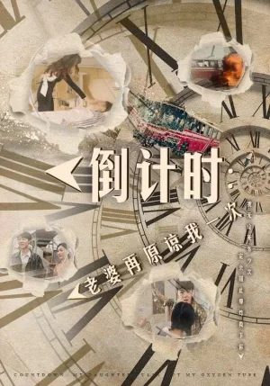 倒计时:老婆再原谅我一次海报