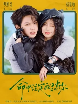 命中注定我怼你海报