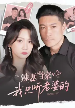 辣妻当家,我只听老婆的海报