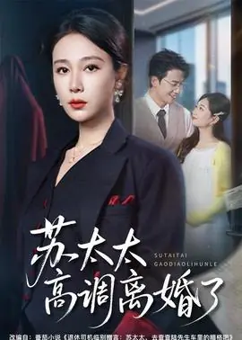 苏太太高调离婚了海报