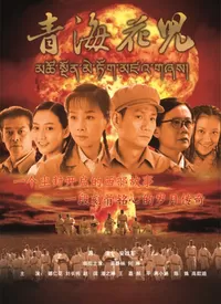 青海花儿海报