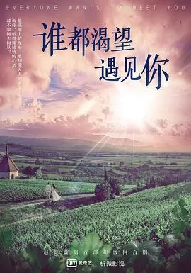 谁都渴望遇见你海报