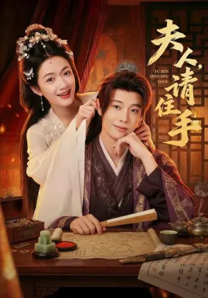 夫人,请住手海报