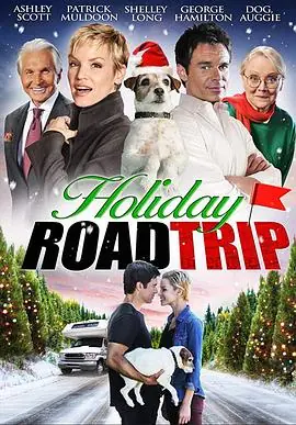 假日之旅HolidayRoadTrip海报