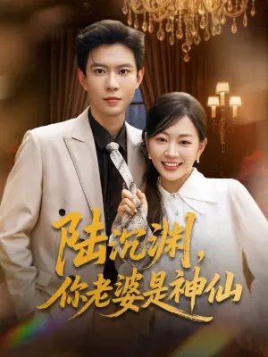 陆沉渊,你老婆是神仙海报