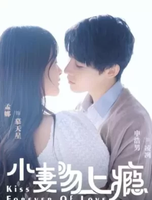 小妻吻上瘾第一季海报