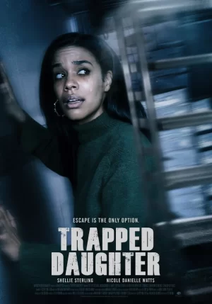 一场错误的派对海报