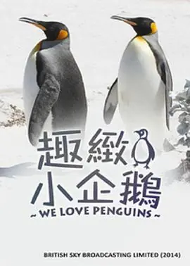 我们爱企鹅海报