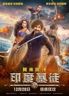 印度暴徒(国语)海报