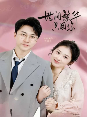 世间繁华只因你海报