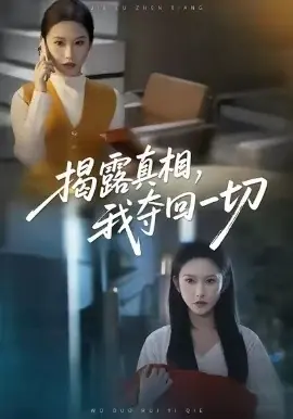 揭露真相,我夺回一切海报