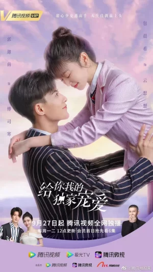 给你我的独家宠爱海报