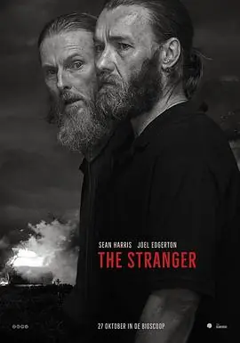 双面陌生人TheStranger海报