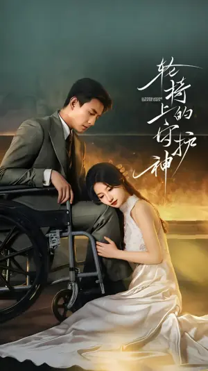 轮椅上的守护神海报