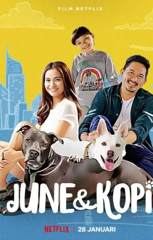 我的流浪狗海报