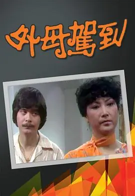 外母驾到(粤语)海报