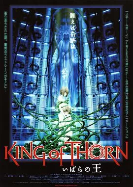 古城荆棘王海报