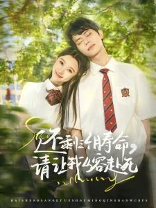 还剩三个月寿命,请让我从容赴死海报