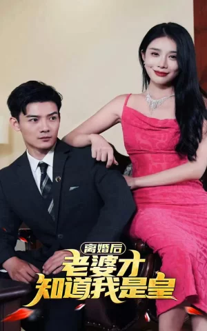 离婚后,老婆才知道我是皇海报