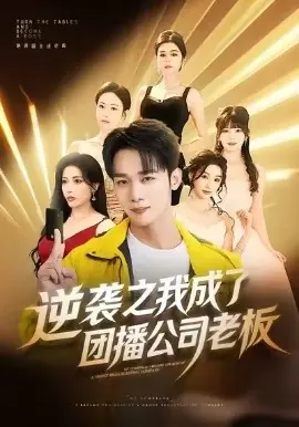 逆袭之我成了团播公司老板海报