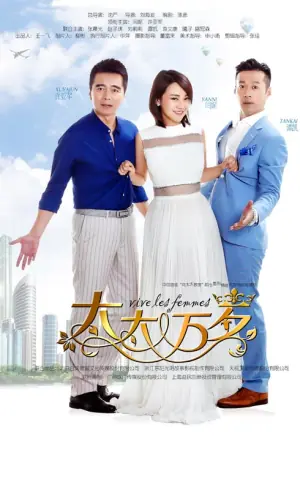 太太万岁海报