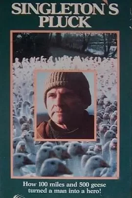 辛格尔顿的勇气海报