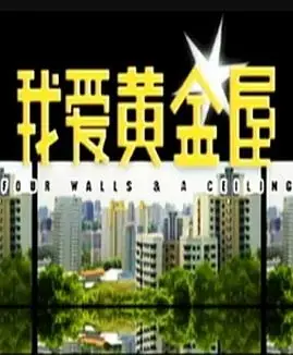 我爱黄金屋海报