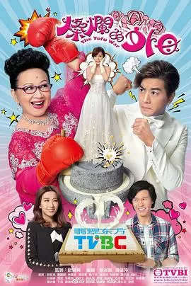 灿烂的外母(粤语)海报