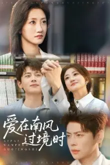 爱在南风过境时海报
