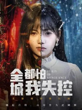 全城都怕我失控海报