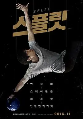 分瓶스플릿海报