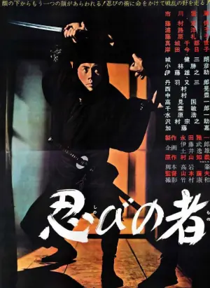 忍者之物海报