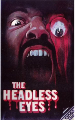 无头的眼睛海报