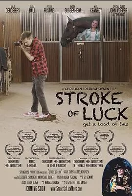 strokeofluck海报