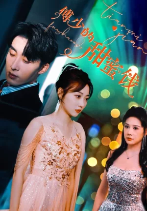 傅少的甜蜜饯海报