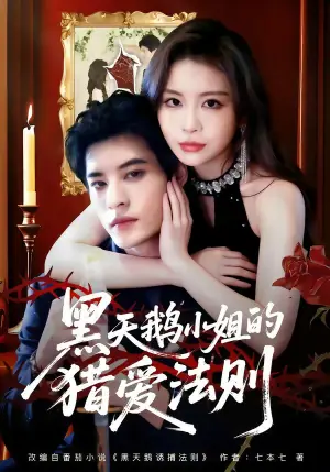 黑天鹅小J的L爱法则海报