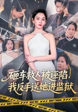 砸车救人被诬陷,我反手送她进监狱海报