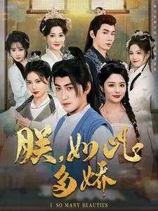 朕,如此多娇海报