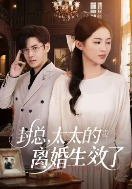 封总,太太的离婚生效了海报