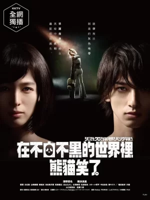 在不白不黑的世界里,熊猫笑了海报